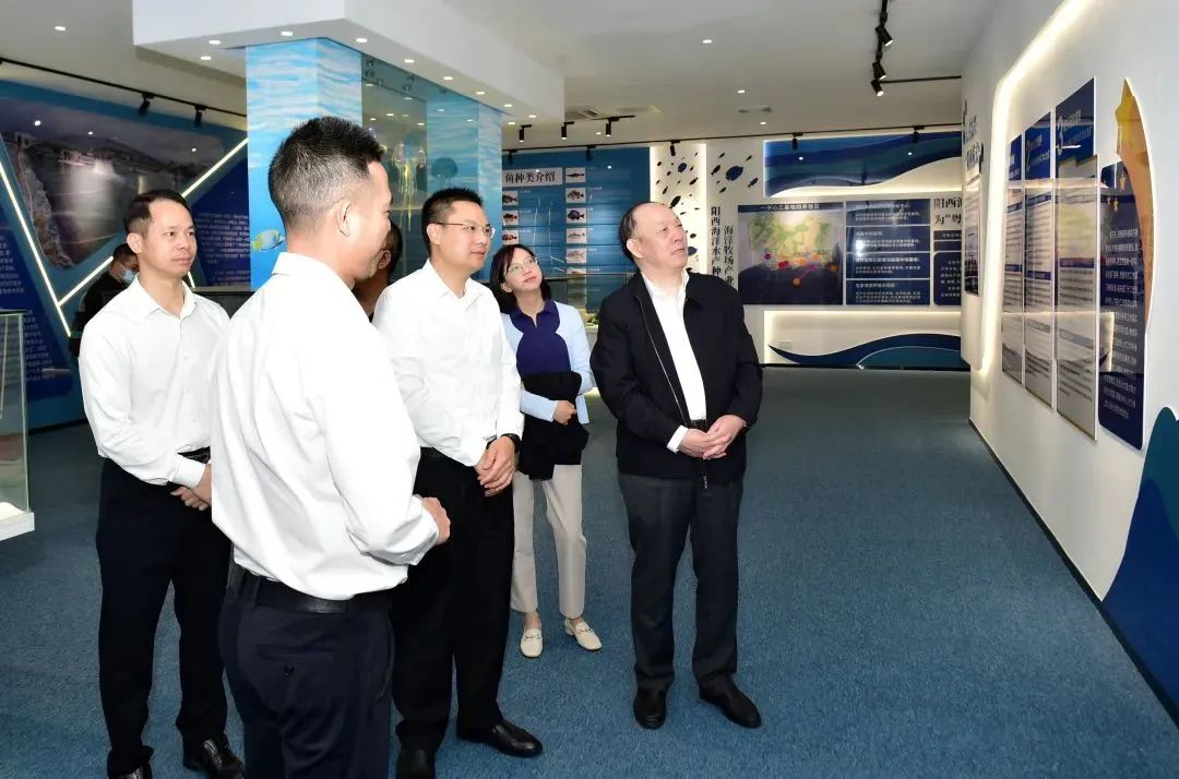 会长2.jpg 糖心影院